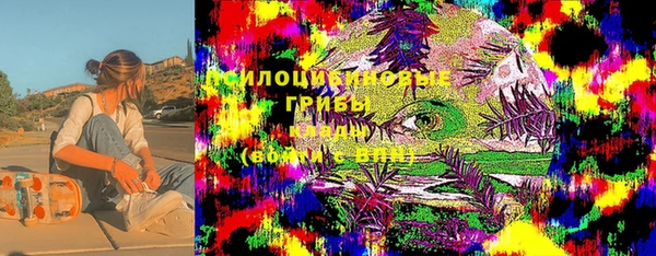 ешки Алексеевка