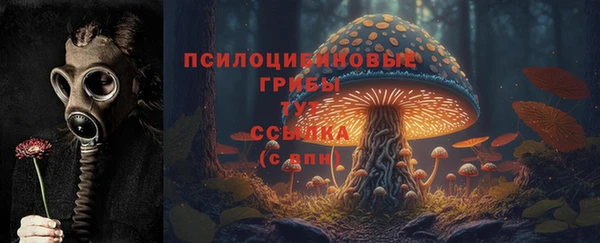 мет Алзамай