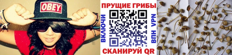 Псилоцибиновые грибы Magic Shrooms  OMG как войти  Октябрьск  где продают наркотики 